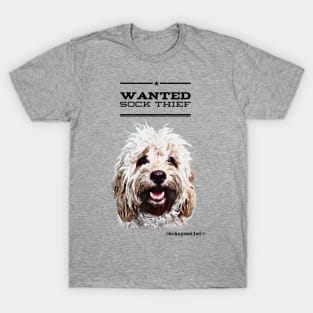 Cockapoo / Doodle Dog Sock Thief T-Shirt